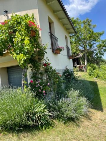 Casa Della Luna Badia Tedalda Zewnętrze zdjęcie
